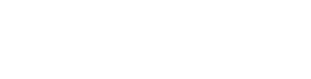 Шприц 35 мл с наконечником под катетер